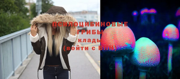 индика Навашино