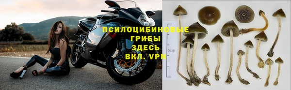 индика Навашино
