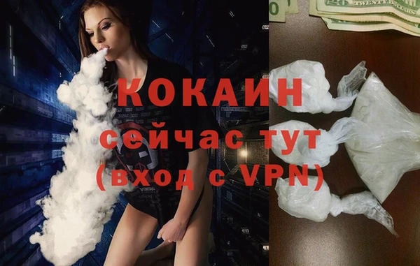 индика Навашино