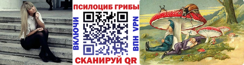 где купить наркотик  блэк спрут   Псилоцибиновые грибы Magic Shrooms  Обоянь 